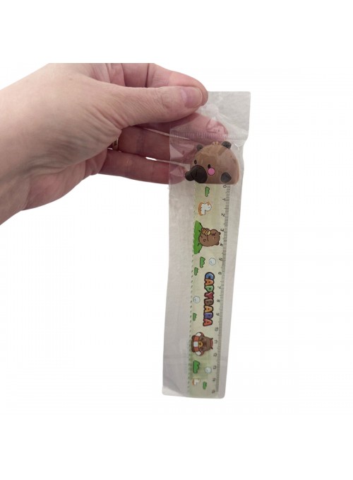 Régua 15cm Decorada Capivara Fofa Papelaria Fofa Papelaria Kawaii Lembrancinha