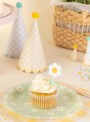Toppers para Doces e Cupcakes Flores Margaridas 10 Unidades
