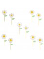 Toppers para Doces e Cupcakes Flores Margaridas 10 Unidades