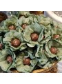 Forminhas Para Doces Flor Nena Super Seda Verde Pistache 40 Unidades