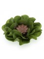 Forminhas Para Doces Flor Nena Super Seda Verde Pistache 40 Unidades