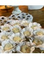 Forminhas Para Doces Flor Nena Super Seda Off White 40 Unidades