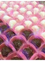 Forminhas para Doces 4 Pétalas Rosa Claro 3,0cm x 2,0cm 50 unidades