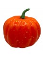 Decoração Halloween Abóbora Em Espuma 10cm 1 Unidade