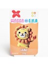 Massinha De Eva Leão 4 Cores Com Qrcode Monte Seu Leão