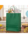 Sacola De Papel Verde 22x16,5cm 10 Unidades Lembrancinha