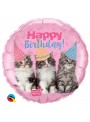 Balão Metalizado Aniversário com Gatos 18 Polegadas 46cm Qualatex
