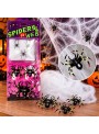 Teia de Aranha Branca com 6 Aranhas Decoração Halloween Silver Festas