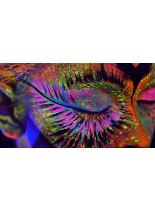 Tinta Maquiagem Facial Festa Neon Brilha na Luz Negra 5 Cores
